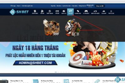 Đua Ngựa Rcb Shbet –  Sân Chơi Đua Ngựa Số 1 Tại Việt Nam
