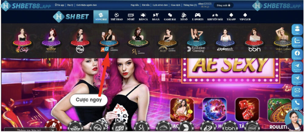 AG Gaming Shbet - Sảnh Chơi Cá Cược Casino Lựa Chọn Số 1 17 Chọn sảnh AG Gaming để tham gia chơi