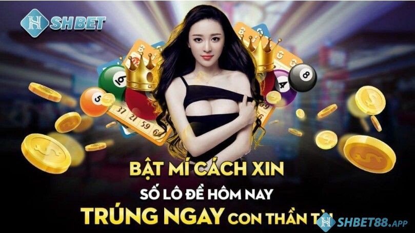 Nằm mơ thấy xe đạp đánh số gì may mắn theo SHBET88 3 Giải đáp xổ số Shbet là gì chi tiết nhất