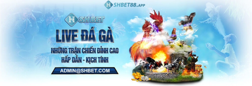 SHBET88 ⭐️ Link vào nhà cái SHBET tặng 188k 32 Giao diện Shbet dễ sử dụng