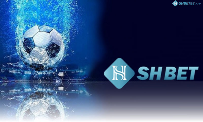 Nhà cái Shbet lừa đảo người chơi? Nguyên nhân là gì? 13 Shbet lên tiếng như thế nào với tin đồn lừa đảo?