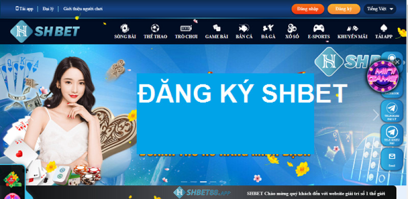 Nhà cái Shbet lừa đảo người chơi? Nguyên nhân là gì? 12 Tin đồn Shbet lừa đảo xuất phát từ đâu?