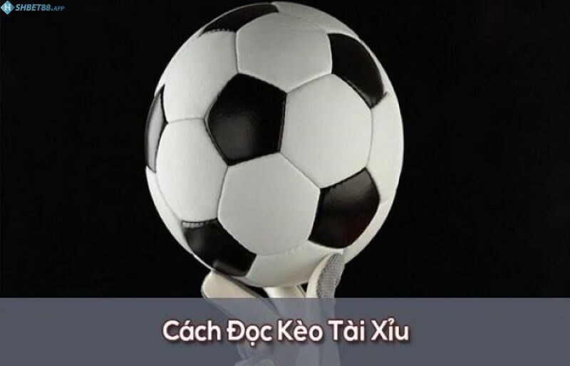 Cách đọc kèo Tài Xỉu chi tiết dành cho tân thủ 10 Để đánh kèo Tài Xỉu với hiệu quả cao nhất, anh em cần phải biết cách đọc kèo