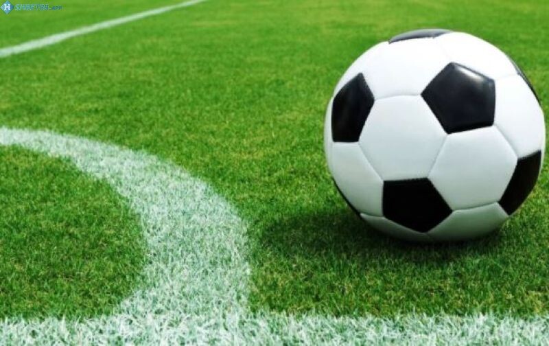 Cách đọc kèo Tài Xỉu chi tiết dành cho tân thủ 11 Hiện nay, số lượng người chơi tham gia cá cược với kèo Tài Xỉu ngày càng gia tăng