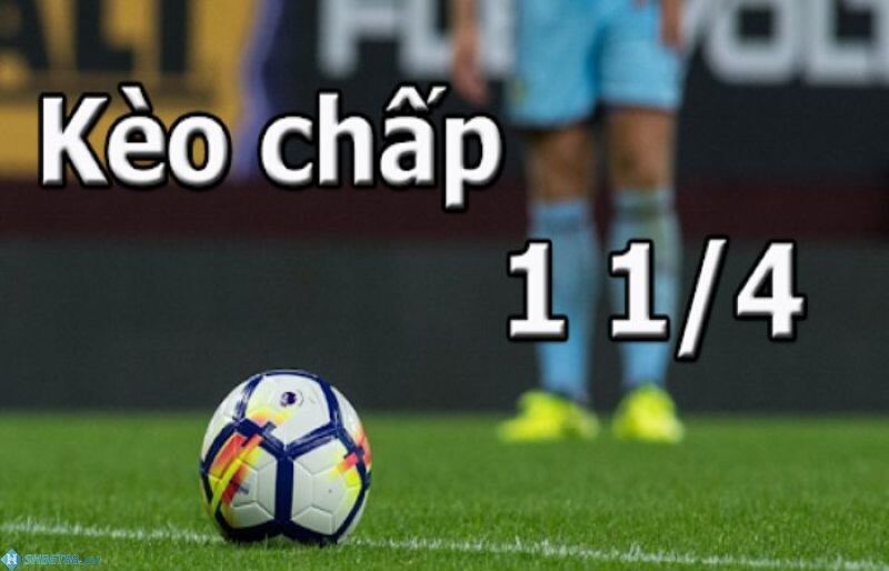 Điều cần lưu ý khi đánh kèo chấp 1 1/4 người chơi nên biết 8 Kèo chấp 1 1/4 với những dân chơi chuyên nghiệp của cá độ bóng đá đã quá đỗi quen thuộc