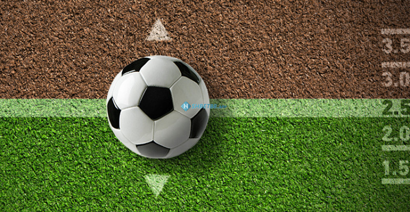 Cách đọc kèo Tài Xỉu chi tiết dành cho tân thủ 13 Người chơi cần phải đầu tư nhiều thời gian và công sức để nghiên cứu bảng tỷ lệ kèo