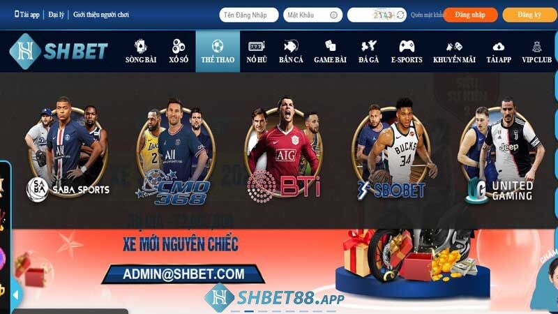 United Gaming SHBET - Nơi cá cược thể thao hàng đầu, uy tín 6 Sảnh game thể thao thu hút đông đảo người chơi trên toàn thế giới