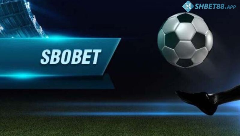 SBOBET SHBET - Sảnh cá cược bóng đá tiên phong hàng đầu 8 Sảnh Sbobet đa dạng các loại hình cá cược thể thao khác nhau