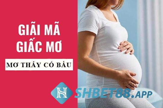 Nằm mơ thấy có bầu có phải tai họa? Đánh số mấy? 5 Nằm mơ thấy có bầu có phải điềm xấu?