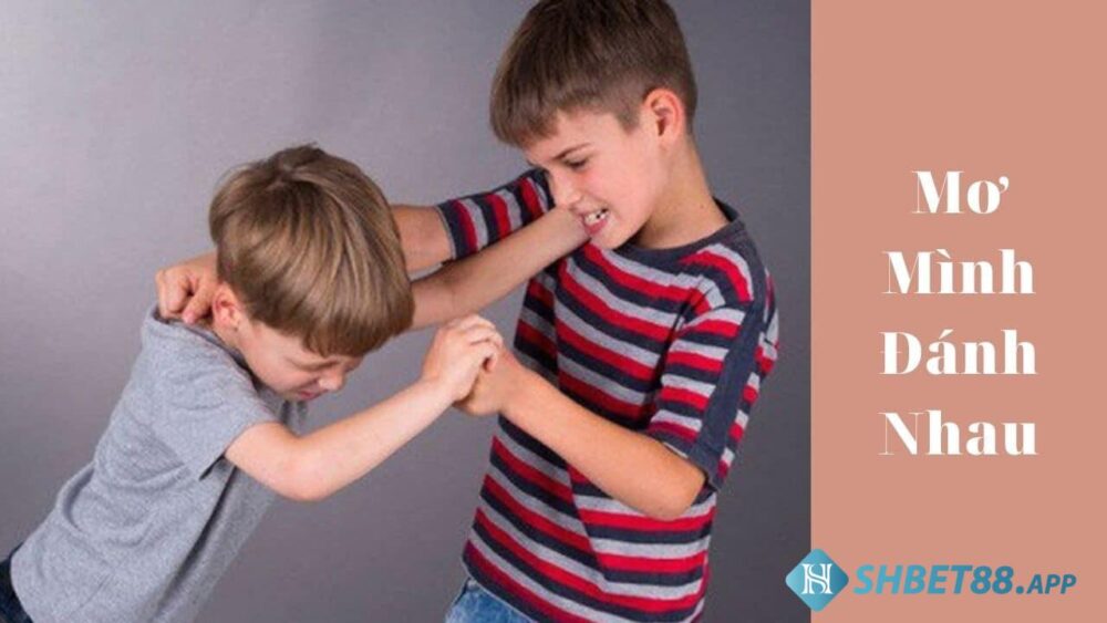 Nằm mơ thấy đánh nhau có phải điềm dữ? Đánh số mấy? 5 Nằm mơ thấy đánh nhau có ý nghĩa gì?