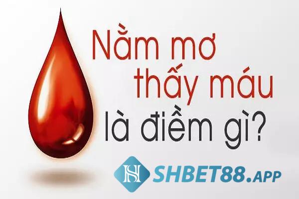 Nằm mơ thấy máu đánh con gì? Giải mã giấc mơ chuẩn nhất 5 Nằm mơ thấy máu có điềm báo gì?