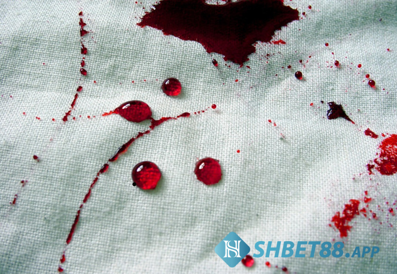 Nằm mơ thấy máu đánh con gì? Giải mã giấc mơ chuẩn nhất 7 Ngủ mơ thấy mình dẫn vào vũng máu