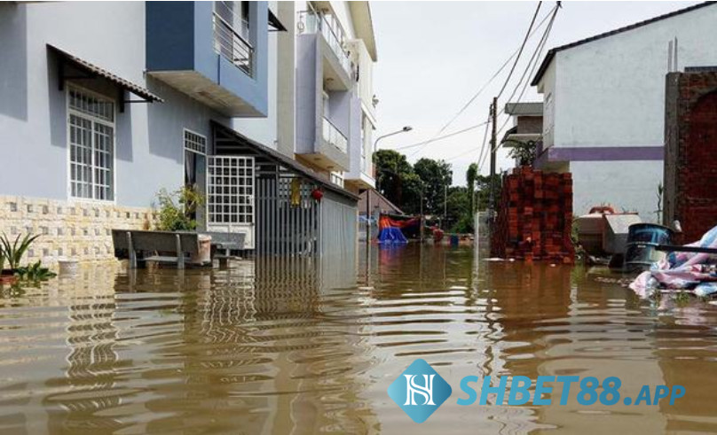 Giải mã nằm mơ thấy nước có điềm báo gì? 7 Mộng thấy nhà mình bị ngập nước