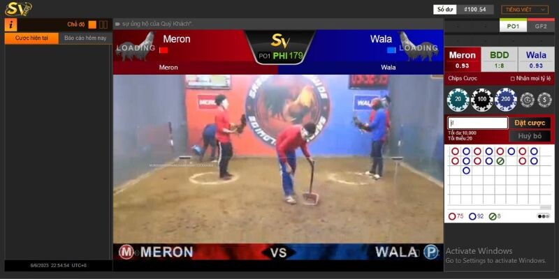 Khám phá thế giới đá gà trực tiếp Thomo tại Shbet 9 Các câu hỏi thường gặp về đá gà trực tiếp Thomo