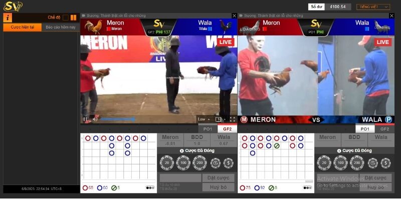 Khám phá thế giới đá gà trực tiếp Thomo tại Shbet 8 Các chiến thuật và kỹ năng cần biết khi xem đá gà trực tiếp Thomo hôm nay