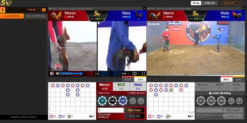 Khám phá thế giới đá gà trực tiếp Thomo tại Shbet 6 Tìm hiểu về xem Đá gà trực tiếp Thomo hôm nay tại Nhà cái MCW Casino