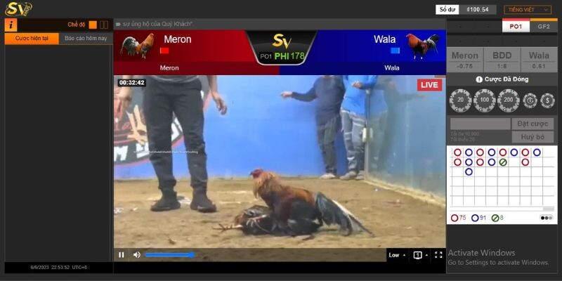 Khám phá thế giới đá gà trực tiếp Thomo tại Shbet 7 Tìm hiểu về xem Đá gà trực tiếp Thomo hôm nay tại Nhà cái MCW Casino