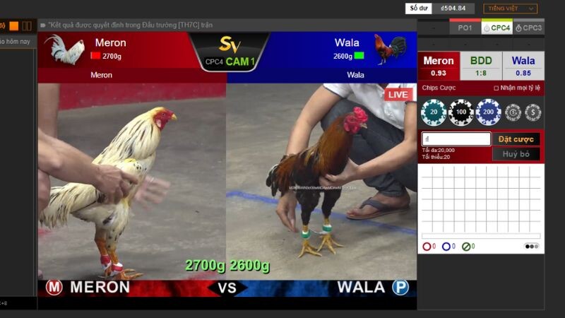 Đá gà thomo casinomcw: Thỏa mãn niềm đam mê cá cược 7 Đá gà sv388 - Sản phẩm cá cược nổi bật nhất tại casinomcw