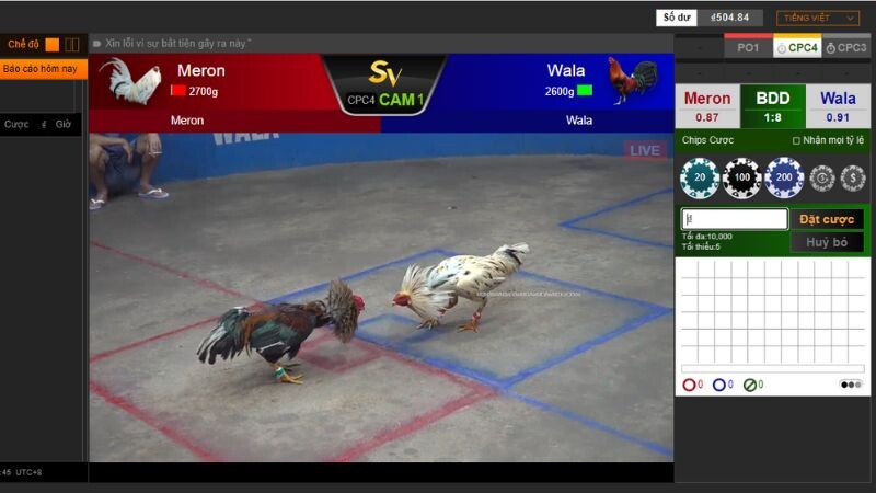 Đá gà thomo casinomcw: Thỏa mãn niềm đam mê cá cược 8 Đá gà tre Philippines tại mcw casino