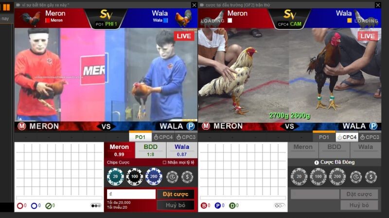 Đá gà thomo casinomcw: Thỏa mãn niềm đam mê cá cược 6 Mcw casino xây dựng cộng đồng văn minh, lịch sự