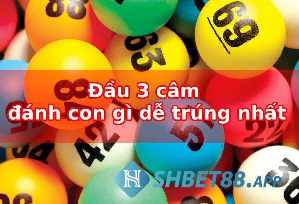 Lô đầu 3 câm đánh con gì chuẩn xác nhất cho ngày hôm sau 6 Một số phương pháp soi cầu lô đầu 3 câm đánh con gì hiệu quả
