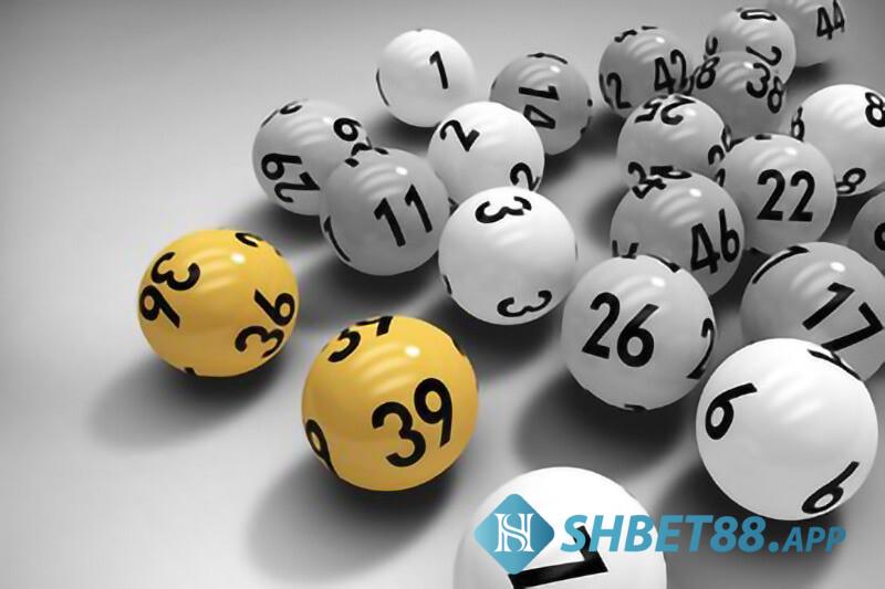 Mách nhỏ: “Lô kép câm hôm sau nên đánh con gì thắng lớn?” 8 Mách nhỏ: “Lô kép câm hôm sau nên đánh con gì thắng lớn?”