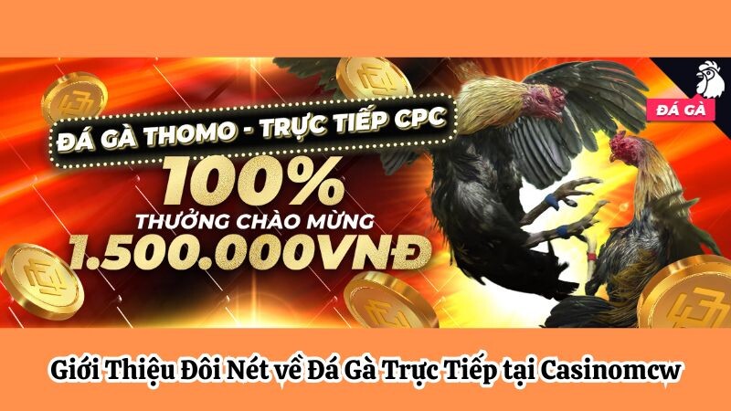 Đá Gà Trực Tiếp tại MCW: Hành Trình Cá Cược Hấp Dẫn 5 Giới Thiệu Đôi Nét về Đá Gà Trực Tiếp tại casinomcw