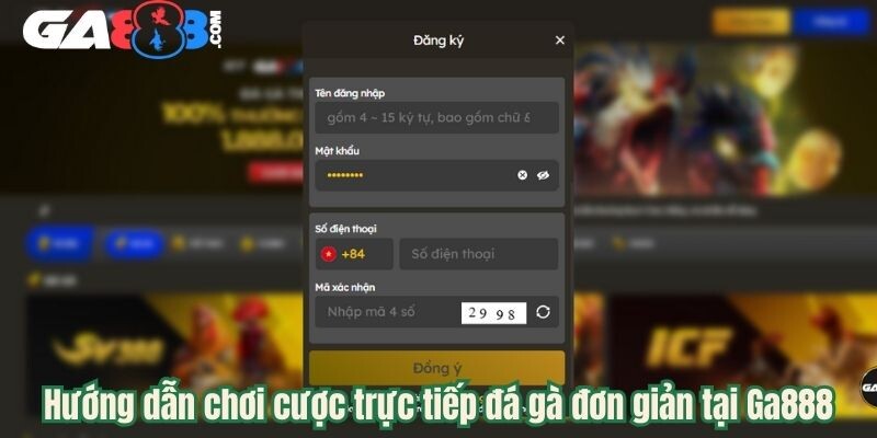 Ga888 - Nền Tảng Đá Gà Trực Tiếp Hot Nhất Trong Năm 2025 5 Hướng dẫn chơi cược trực tiếp đá gà đơn giản tại Ga888