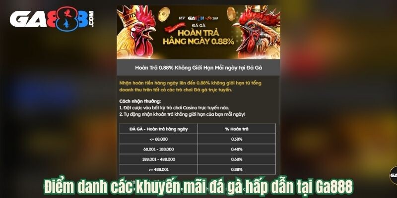 Ga888 - Nền Tảng Đá Gà Trực Tiếp Hot Nhất Trong Năm 2025 6 Điểm danh các khuyến mãi đá gà hấp dẫn tại Ga888